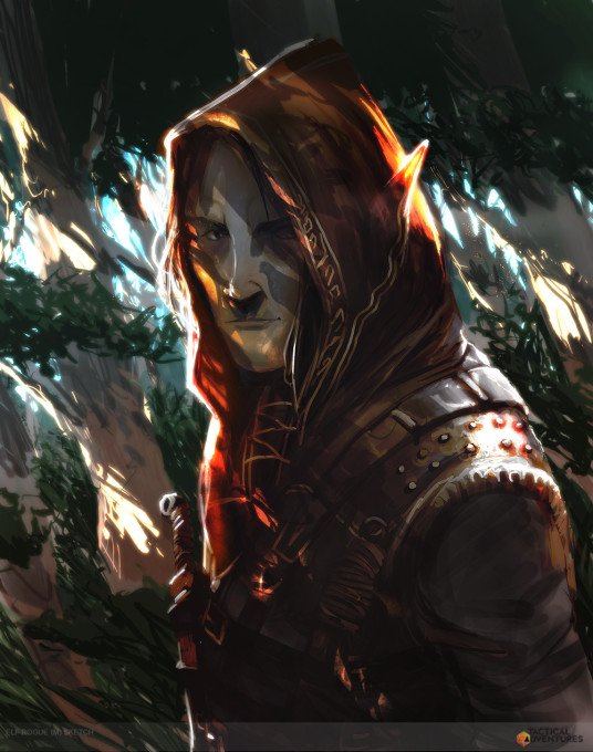 Elf Rogue (M) Sketch